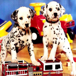 Puppy Pairs Puzzle